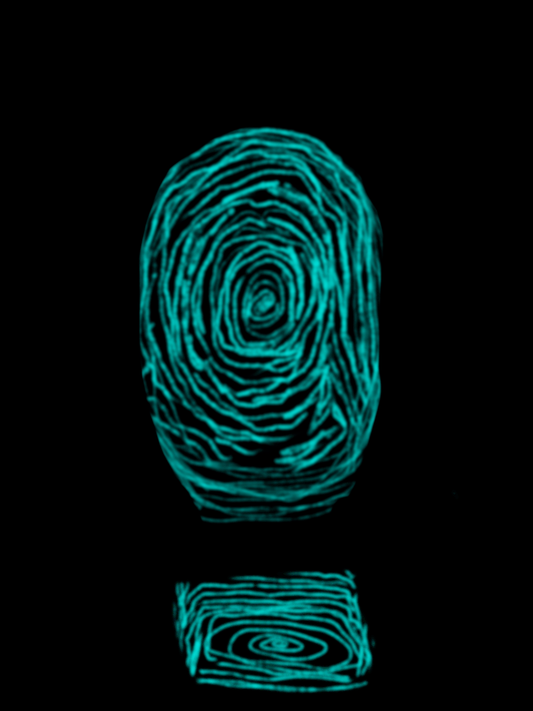 I.D. Ebook