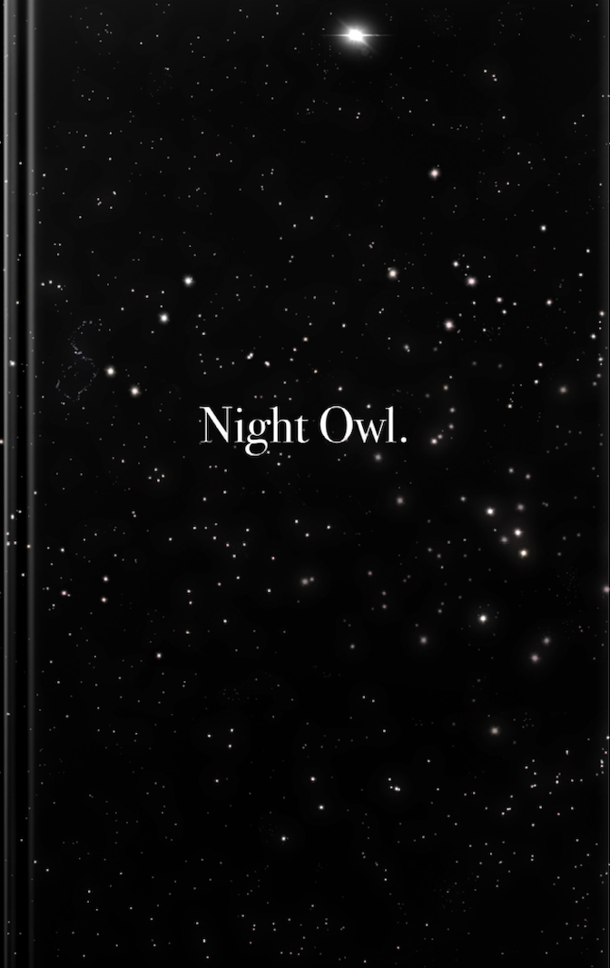 Night Owl Ebook